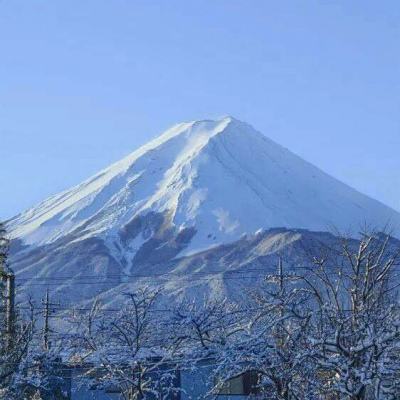 悟空修仙传手游bt版下载